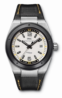 IWC Ingenieur Steel Watch IW323402