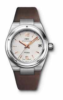 IWC IW451504 Steel Watch