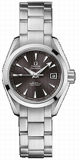 Omega Grey Dial Watch 231.10.30.20.06.001