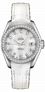 Omega Steel set with Diamonds Watch 231.18.30.20.55.001