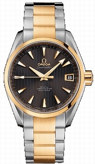 Omega Automatic Co-Axial Mens Watch 231.20.39.21.06.002