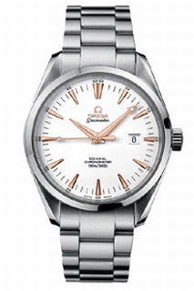 Omega Seamaster Aqua Terra 2502.34.00 Mens Watch