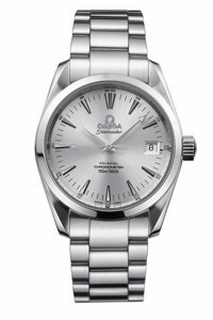 Omega Seamaster Aqua Terra 2504.30.00 Mens Watch