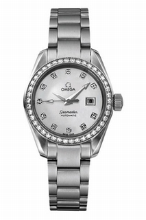 Omega Seamaster Aqua Terra 2565.75.00 Watch