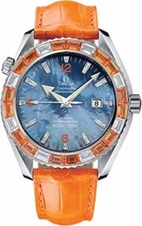 Omega Planet Ocean 2905.50.38 Mens Watch