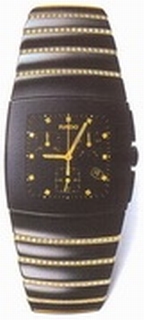 Rado Black & Gold Dial Watch 538.0477.3.216