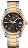 Omega Automatic Co-Axial Mens Watch 231.20.39.21.06.002