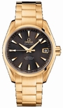 Omega Grey Dial Mens Watch 231.50.39.21.06.002