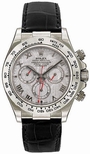 Rolex Daytona Mens Watch 116519MTRL